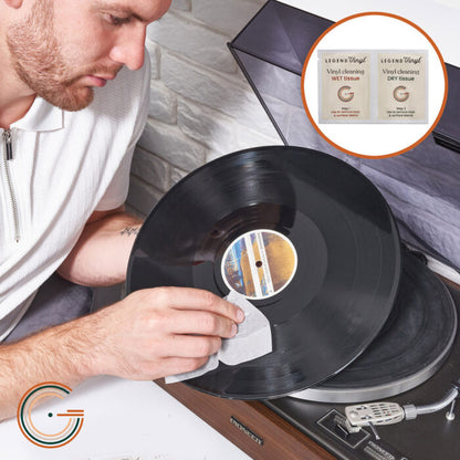 Vinyl Record Cleaning Kit